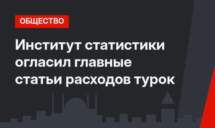 Институт статистики огласил главные статьи расходов турок