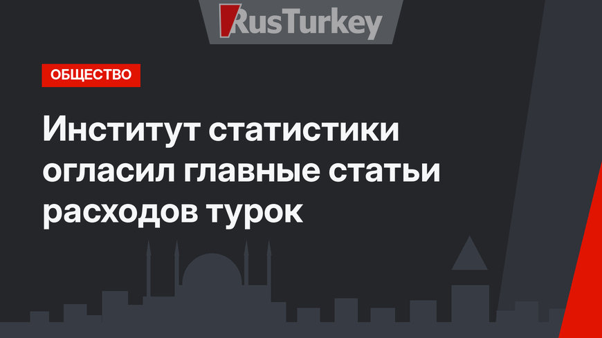 Институт статистики огласил главные статьи расходов турок