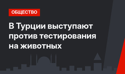 В Турции выступают против тестирования на животных