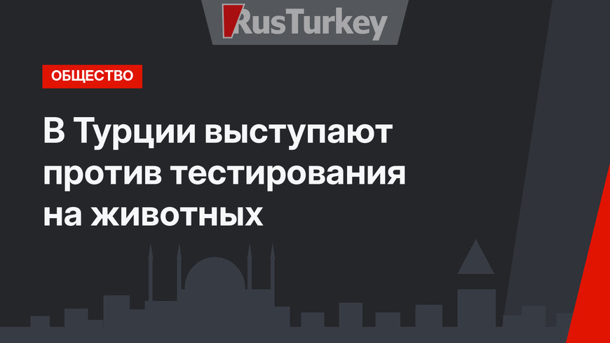 В Турции выступают против тестирования на животных