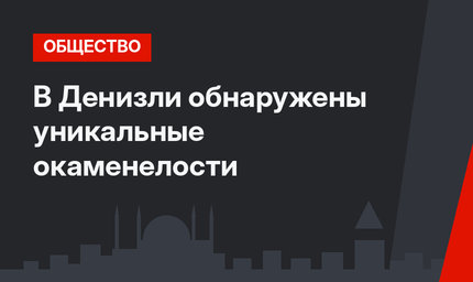 В Денизли обнаружены уникальные окаменелости