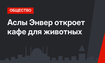 Аслы Энвер откроет кафе для животных
