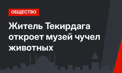 Житель Текирдага откроет музей чучел животных