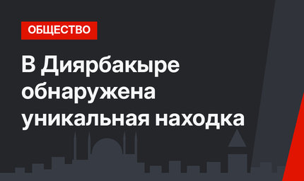 В Диярбакыре обнаружена уникальная находка
