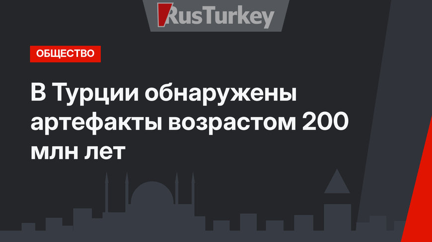 В Турции обнаружены артефакты возрастом 200 млн лет