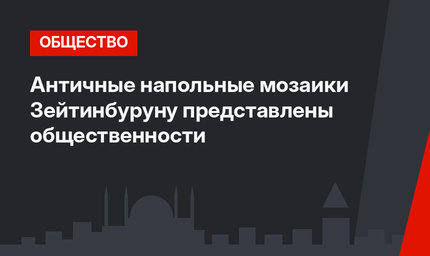 Античные напольные мозаики Зейтинбуруну представлены общественности