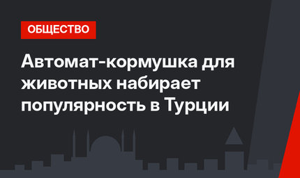 Автомат-кормушка для животных набирает популярность в Турции