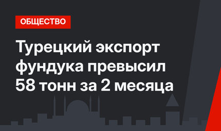Турецкий экспорт фундука превысил 58 тонн за 2 месяца