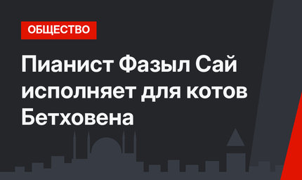 Пианист Фазыл Сай исполняет для котов Бетховена