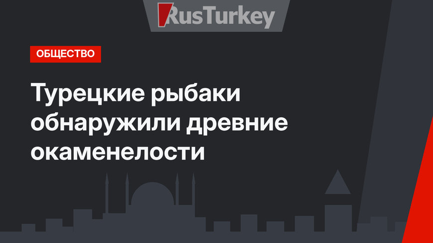 Турецкие рыбаки обнаружили древние окаменелости