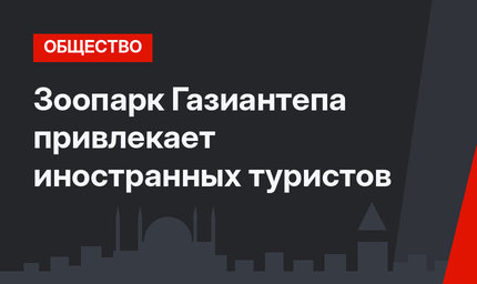 Зоопарк Газиантепа привлекает иностранных туристов