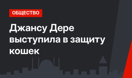 Джансу Дере выступила в защиту кошек