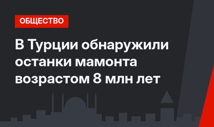 В Турции обнаружили останки мамонта возрастом 8 млн лет
