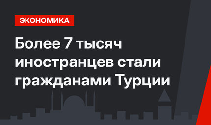 Более 7 тысяч иностранцев стали гражданами Турции