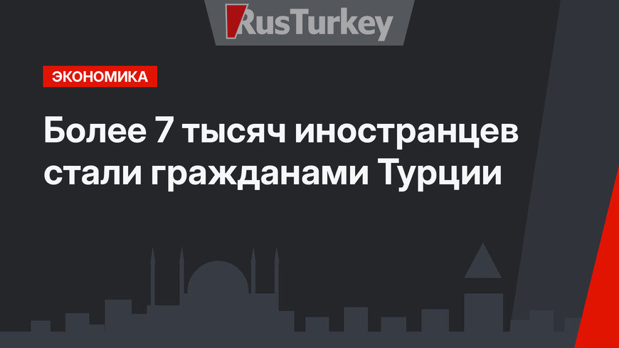 Более 7 тысяч иностранцев стали гражданами Турции
