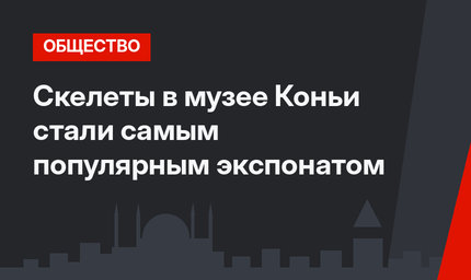 Скелеты в музее Коньи стали самым популярным экспонатом