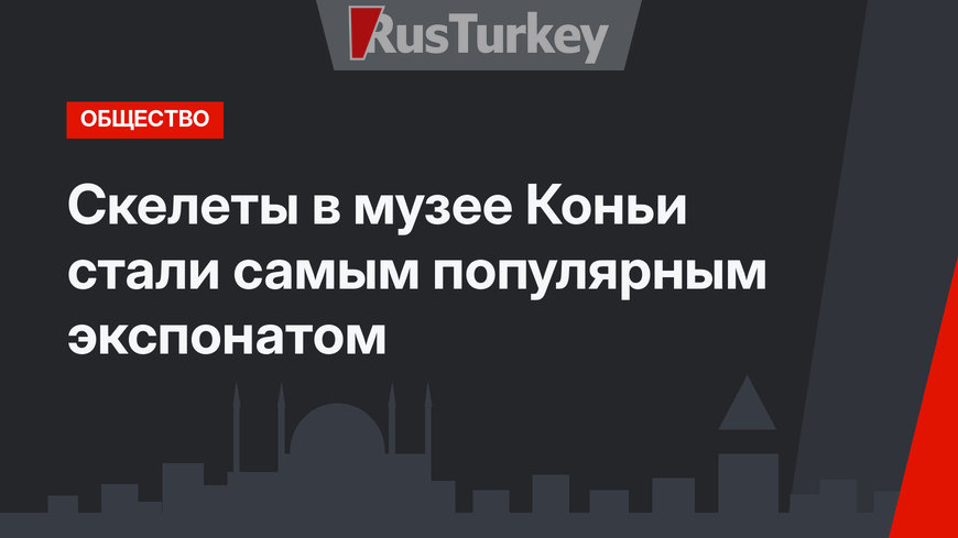 Скелеты в музее Коньи стали самым популярным экспонатом