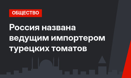 Россия названа ведущим импортером турецких томатов
