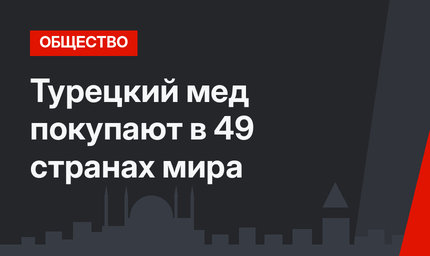 Турецкий мед покупают в 49 странах мира