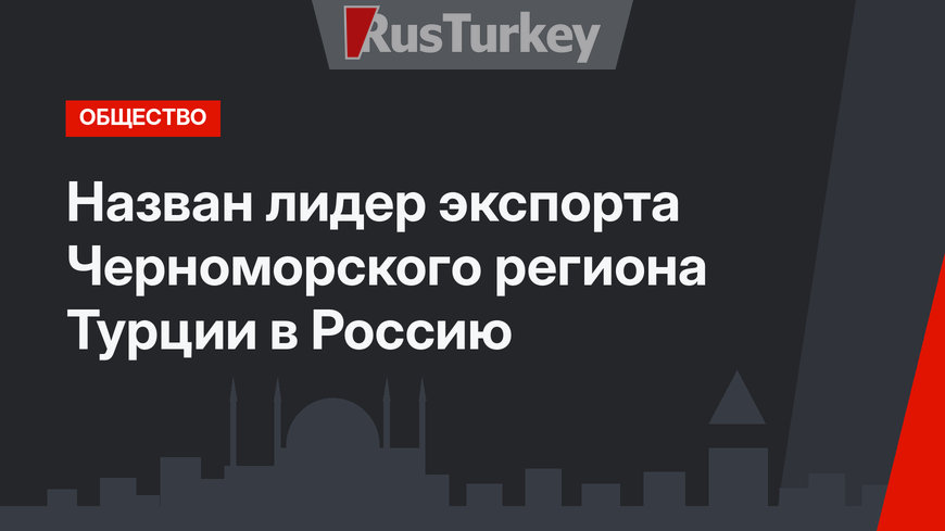 Назван лидер экспорта Черноморского региона Турции в Россию
