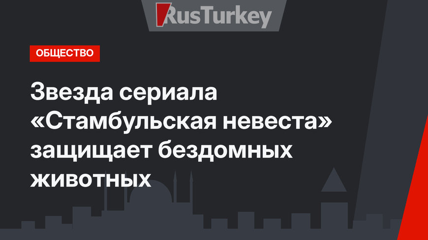 Звезда сериала «Стамбульская невеста» защищает бездомных животных