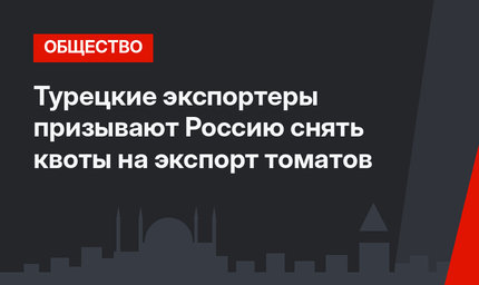 Турецкие экспортеры призывают Россию снять квоты на экспорт томатов