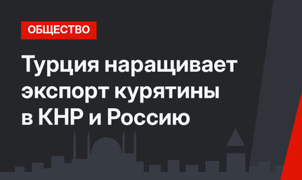 Турция наращивает экспорт курятины в КНР и Россию