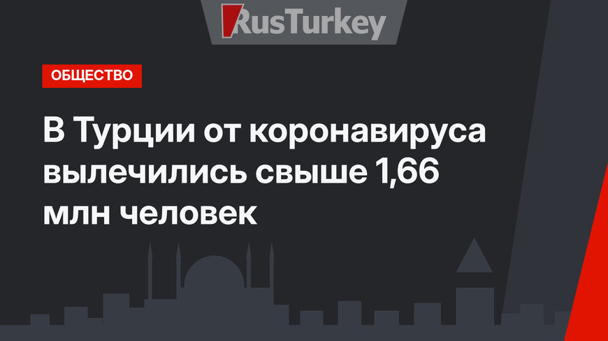 В Турции от коронавируса вылечились свыше 1,66 млн человек
