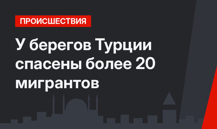 У берегов Турции спасены более 20 мигрантов