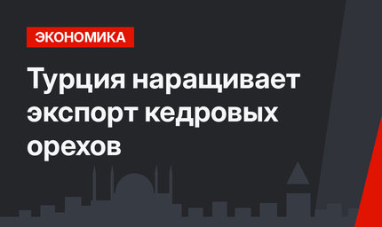Турция наращивает экспорт кедровых орехов