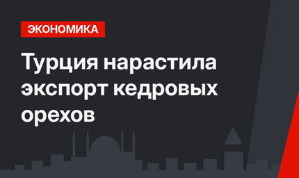 Турция нарастила экспорт кедровых орехов