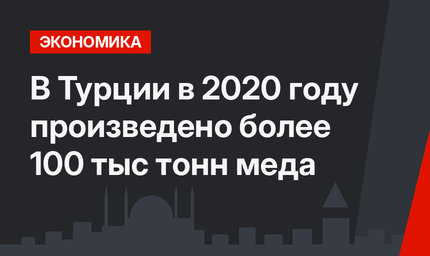 В Турции в 2020 году произведено более 100 тыс тонн меда