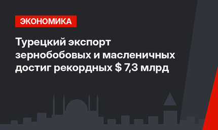 Турецкий экспорт зернобобовых и масленичных достиг рекордных $ 7,3 млрд