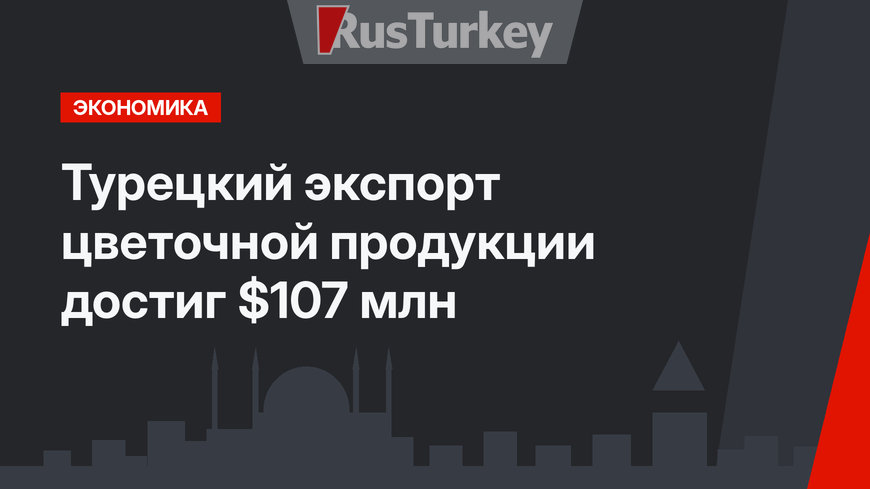 Турецкий экспорт цветочной продукции достиг $107 млн