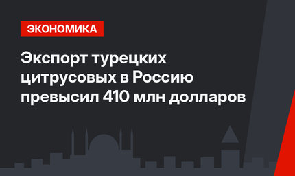 Экспорт турецких цитрусовых в Россию превысил 410 млн долларов