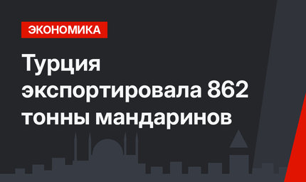 Турция  экспортировала 862 тонны мандаринов