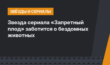 Звезда сериала «Запретный плод» заботится о бездомных животных