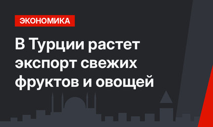 В Турции растет экспорт свежих фруктов и овощей