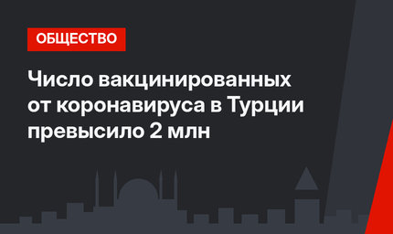 Число вакцинированных от коронавируса в Турции превысило 2 млн