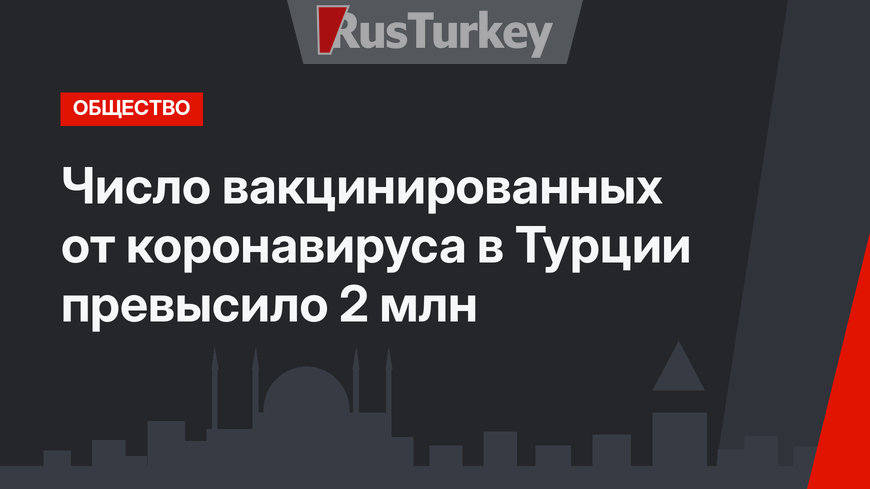 Число вакцинированных от коронавируса в Турции превысило 2 млн