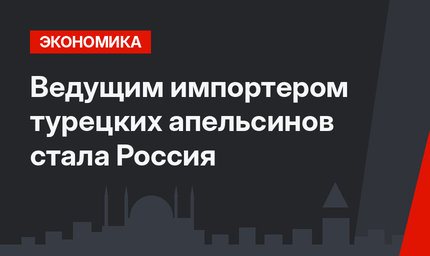 Ведущим импортером турецких апельсинов стала Россия