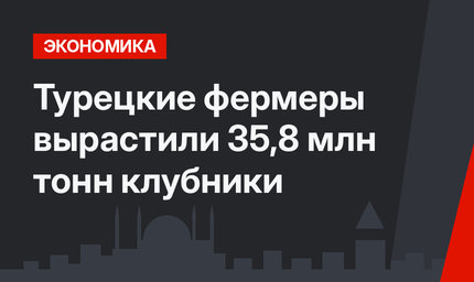 Турецкие фермеры вырастили 35,8 млн тонн клубники