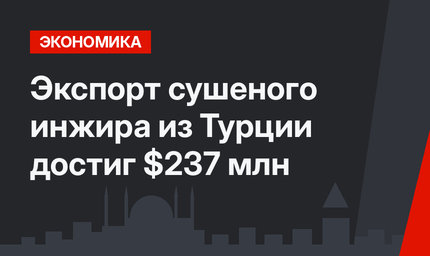 Экспорт сушеного инжира из Турции достиг $237 млн