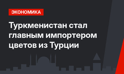 Туркменистан стал главным импортером цветов из Турции