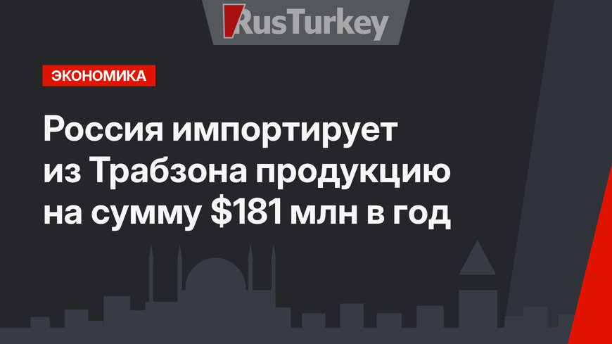 Россия импортирует из Трабзона продукцию на сумму $181 млн в год
