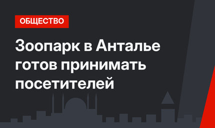Зоопарк в Анталье готов принимать посетителей