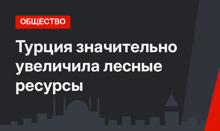 Турция значительно увеличила лесные ресурсы