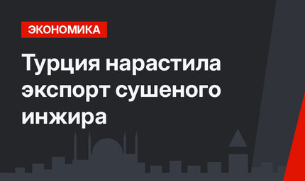 Турция нарастила экспорт сушеного инжира
