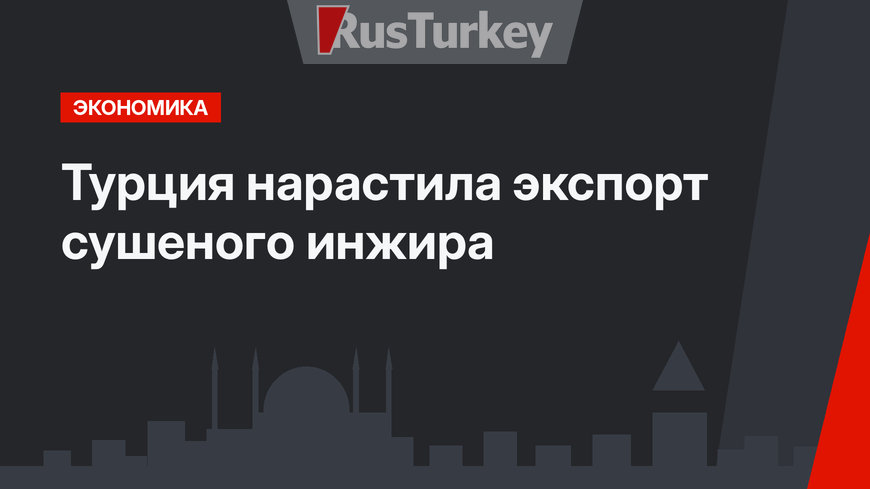 Турция нарастила экспорт сушеного инжира