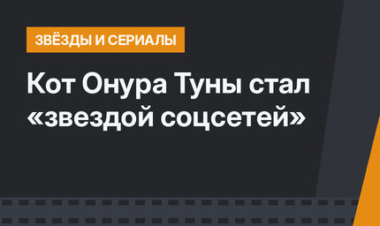 Кот Онура Туны стал «звездой соцcетей»